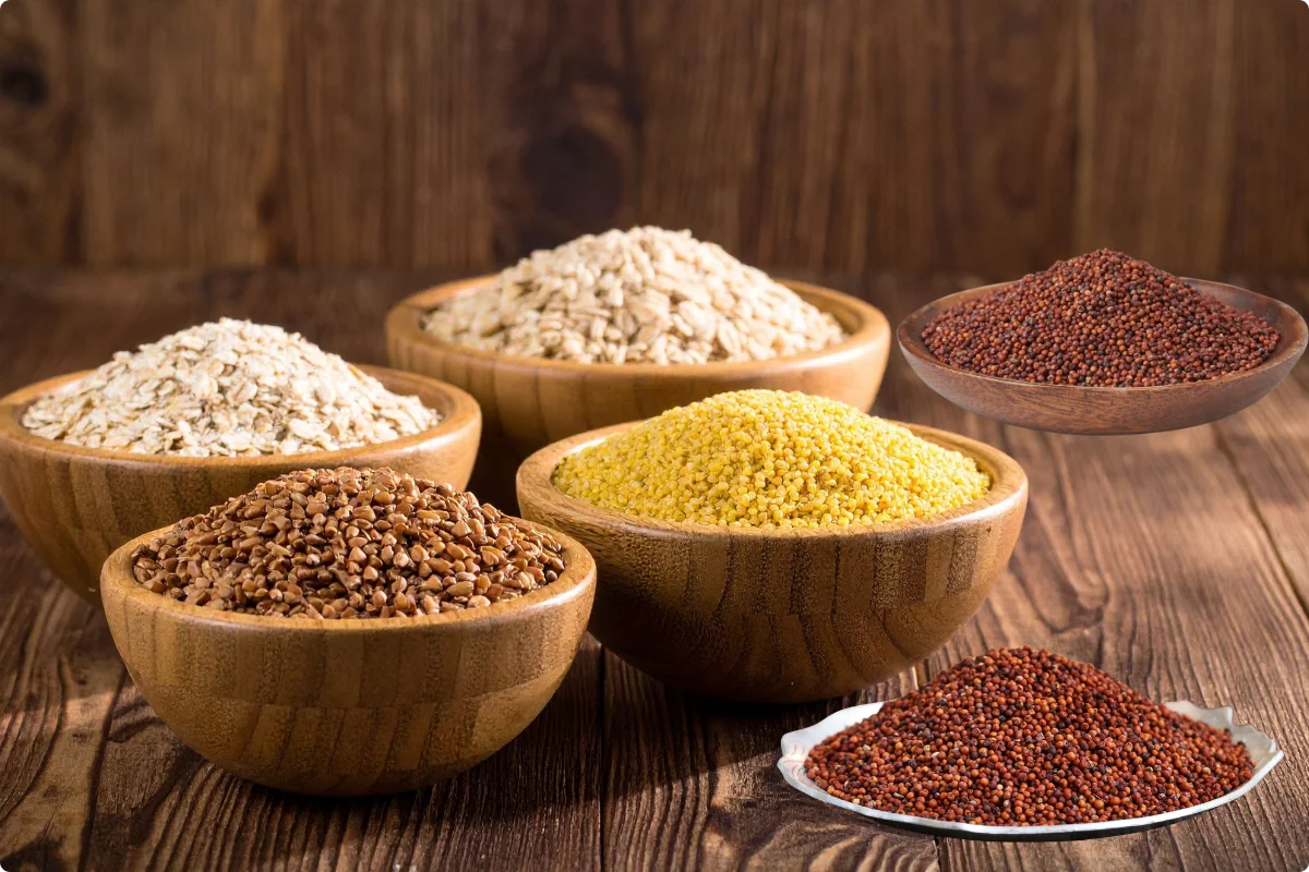 Millets Exporter from India by The TradeEra