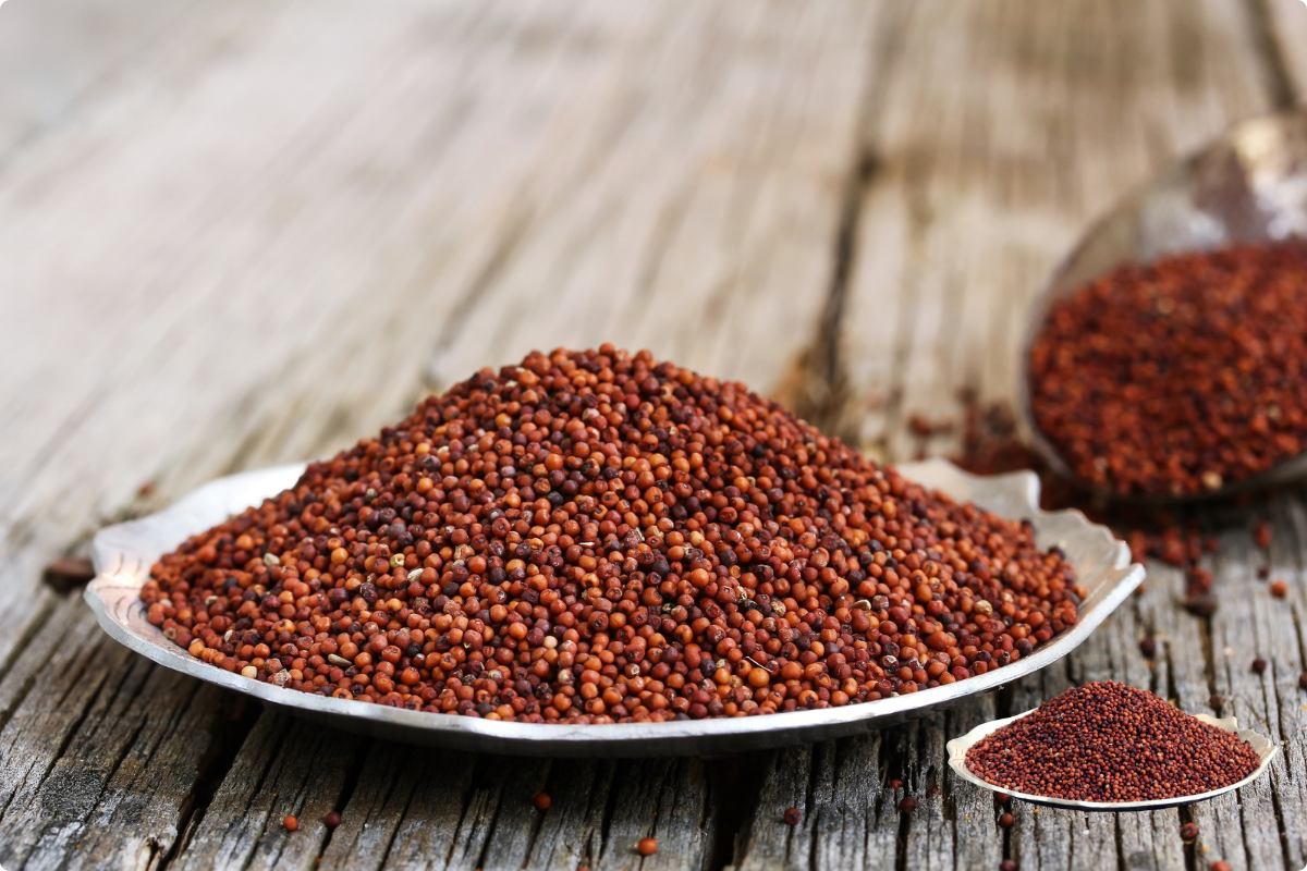 Ragi exporter from India for bulk finger millet supply by The TradeEra