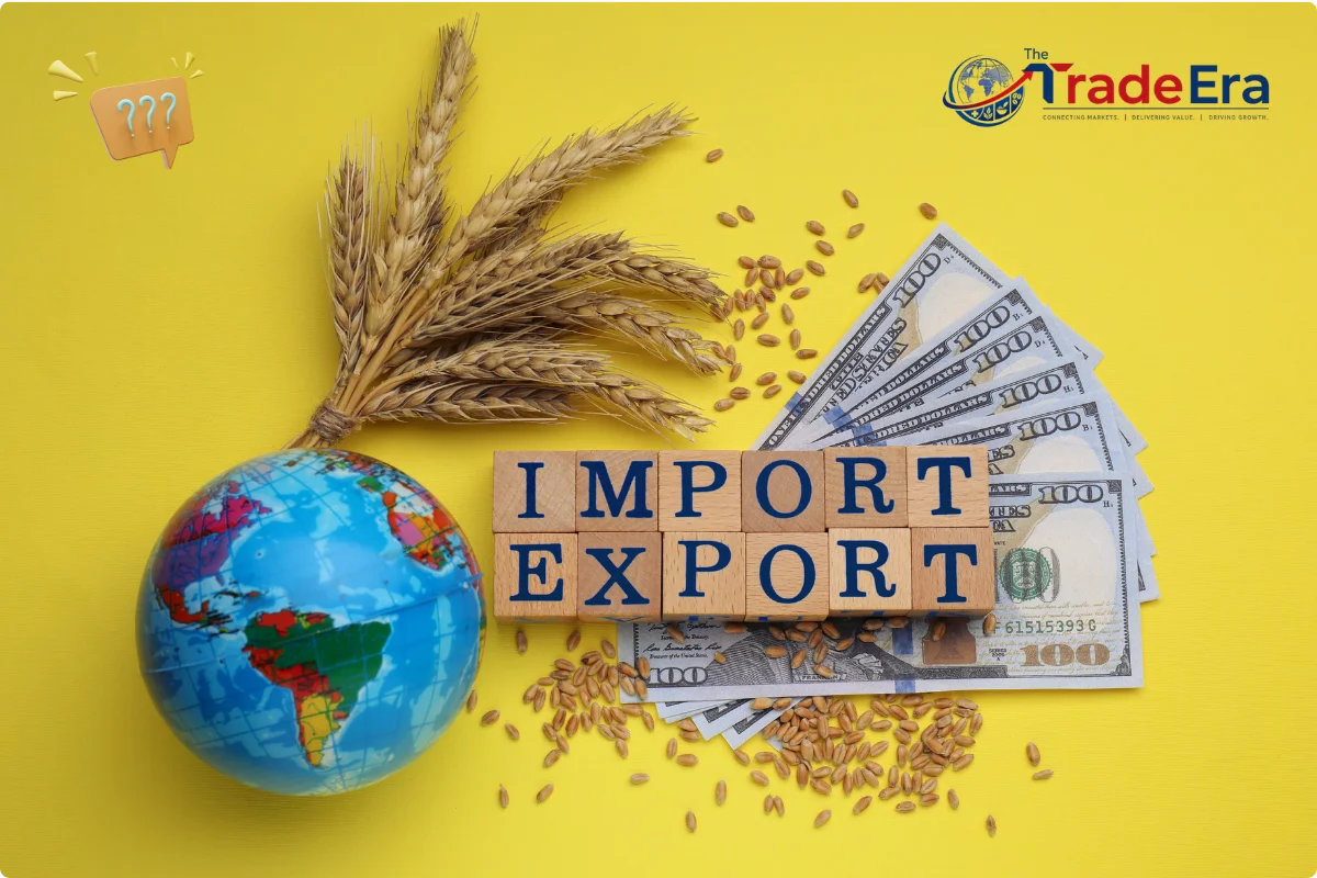 Why Choose The TradeEra for Indian export support