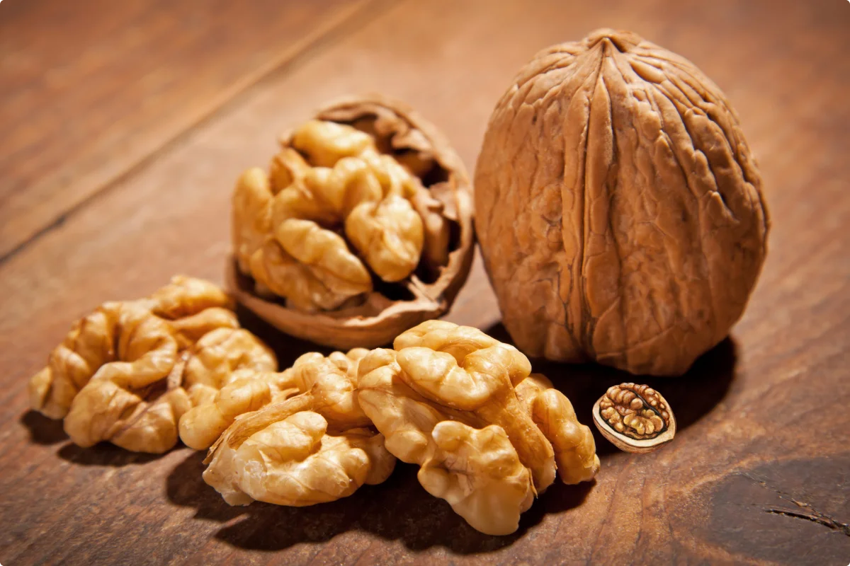 Walnut Supplier in India with bulk packaging support