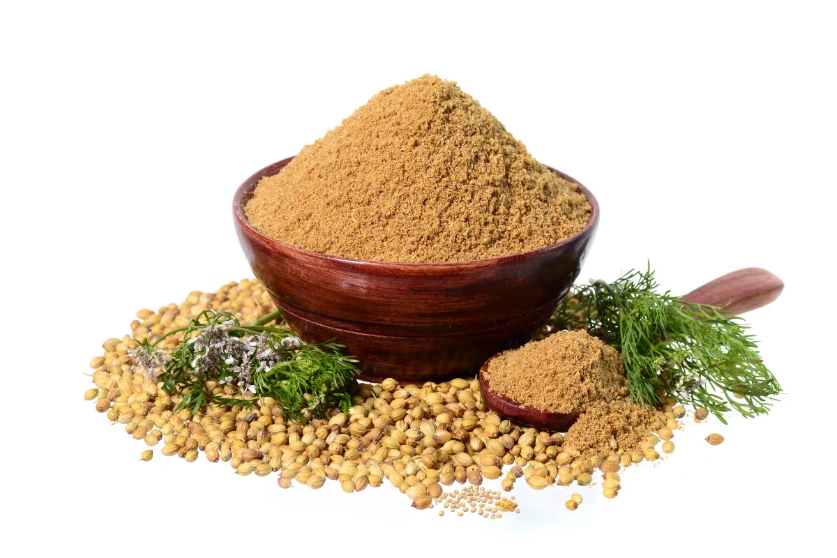 Coriander Powder Exporter from India
