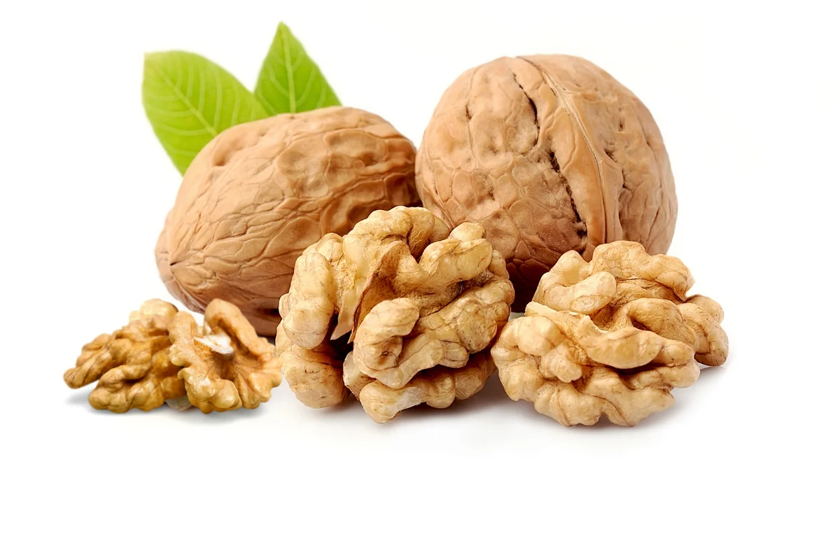 Walnuts Exporter from India for bulk dry fruit buyers